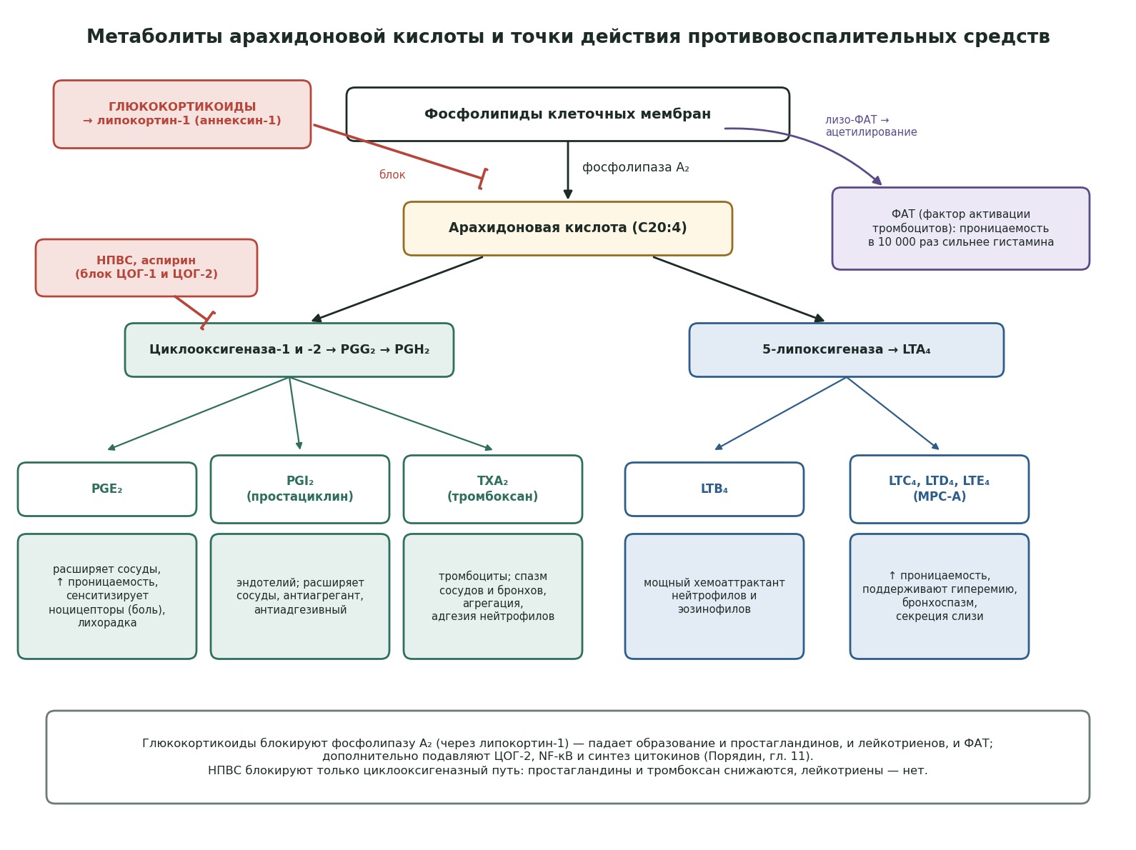 patfiz05-arahidonovaya-shema.jpg