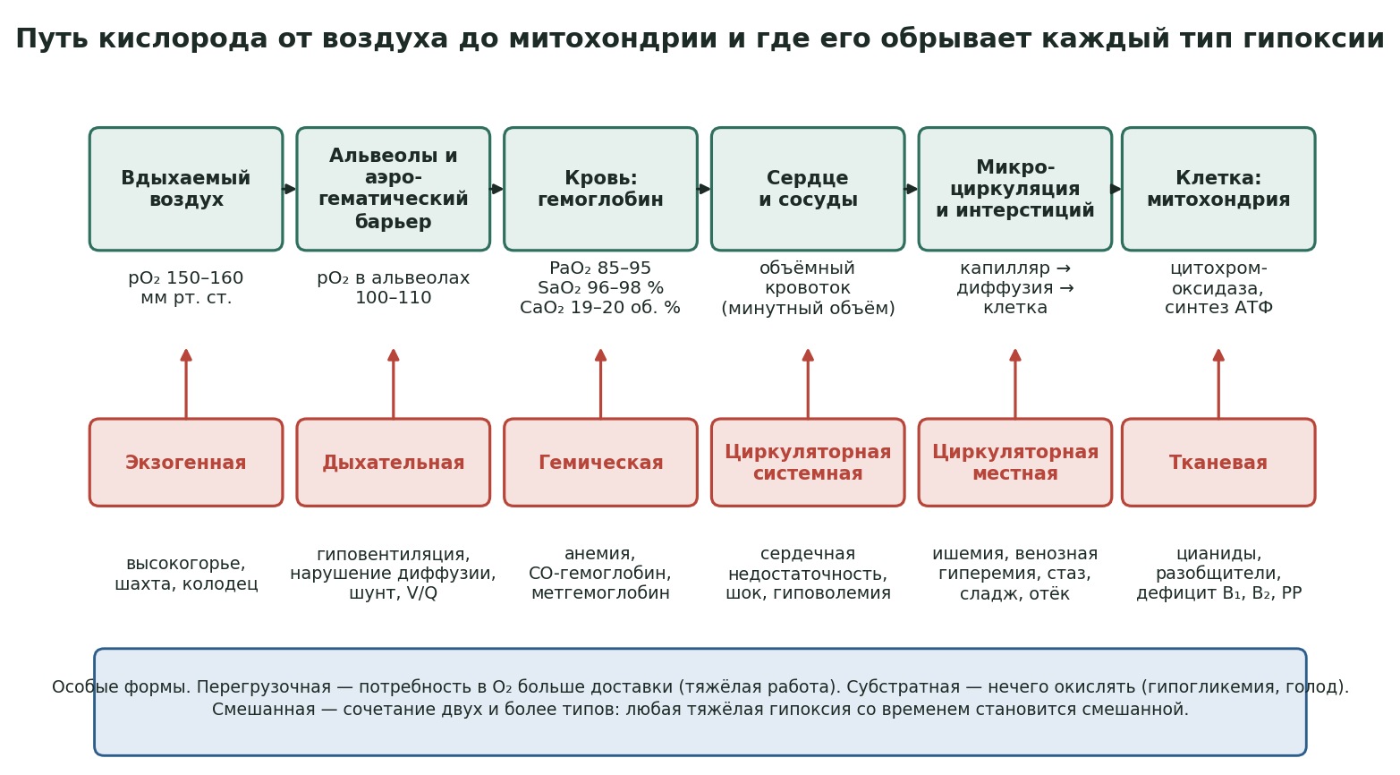 patfiz05-dostavka-O2-shema.jpg