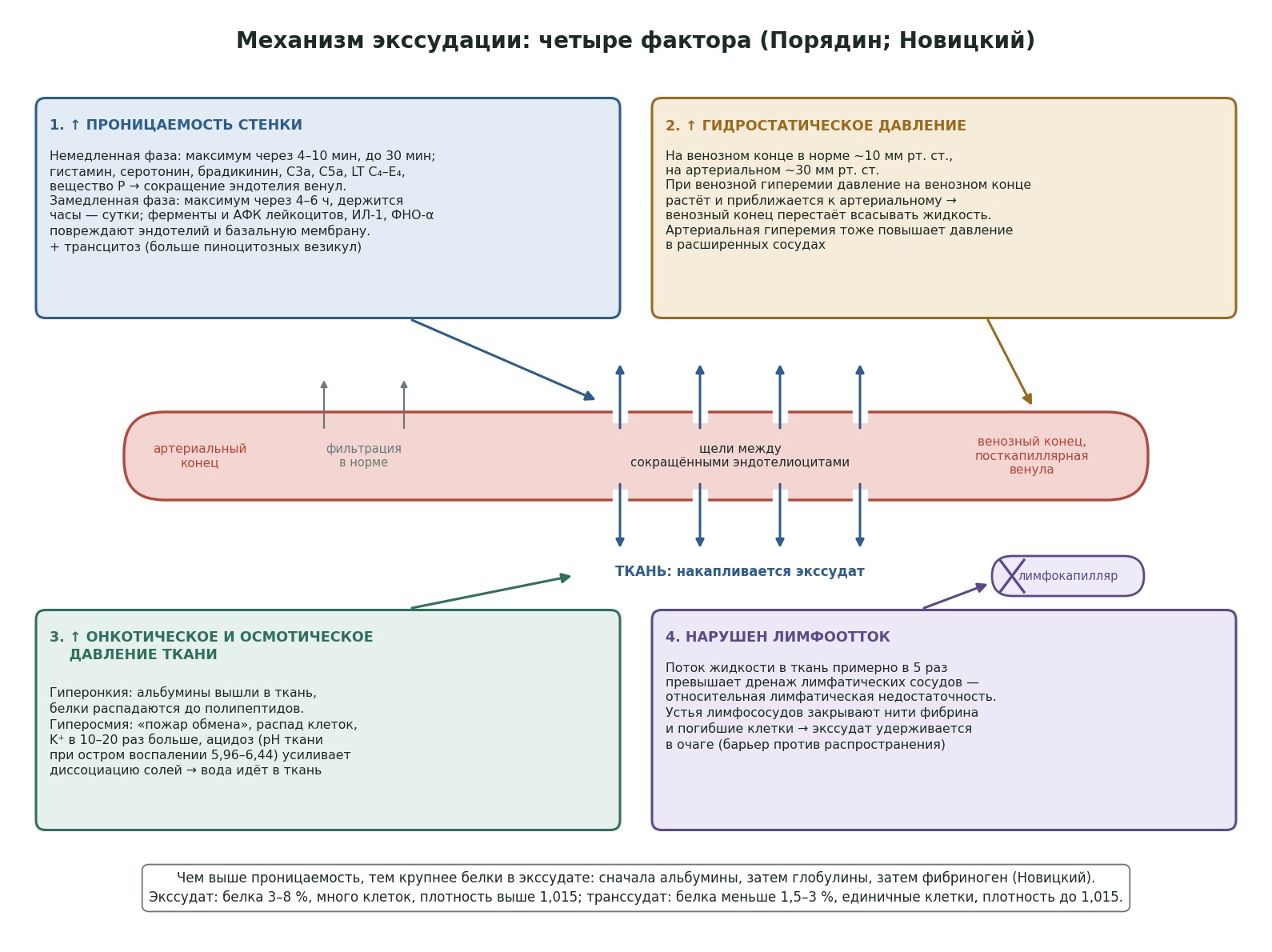 patfiz05-ekssudaciya-shema.jpg