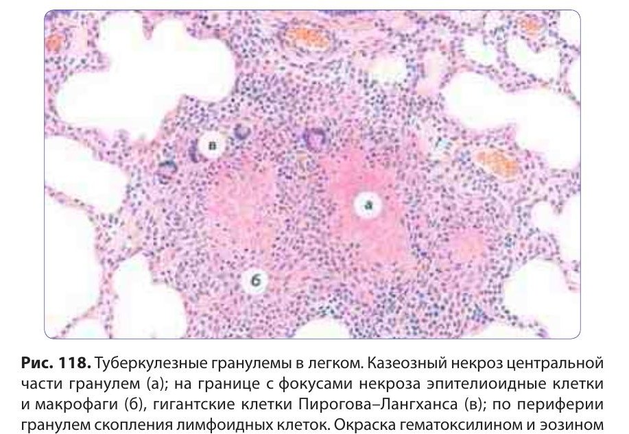 patfiz06-paukov-118.jpg