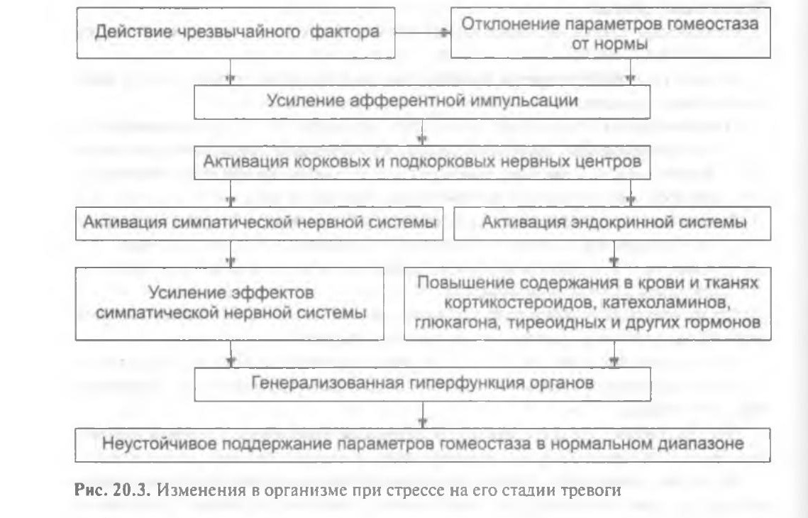 patfiz07-litvickij-20-3.jpg