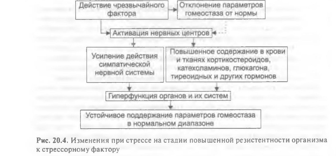 patfiz07-litvickij-20-4.jpg