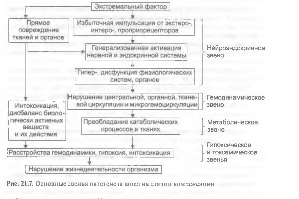 patfiz07-litvickij-21-7.jpg